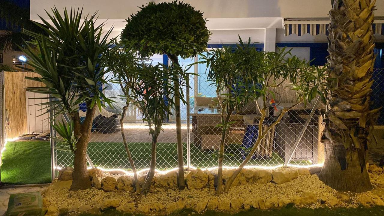Apartment Palmas De Coco Playa Flamenca Kültér fotó